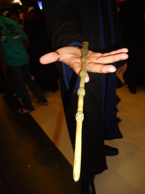DSC00847.JPG
