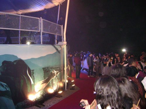DSC08217.JPG