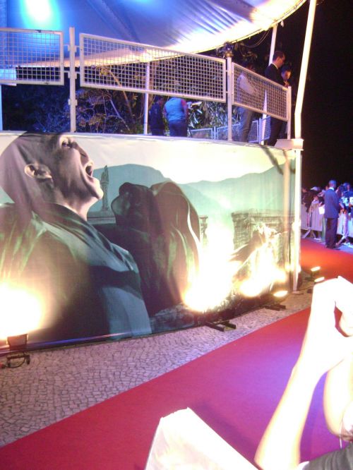 DSC08224.JPG