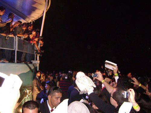 DSC08247.JPG