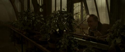 Click to view full size image
==============
EdP-Potterish10000.jpg EdP-Potterish10000.jpg