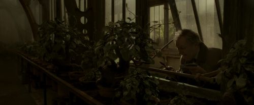 EdP-Potterish10001.jpg
