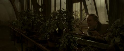EdP-Potterish10002.jpg