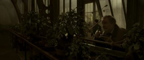 EdP-Potterish10003.jpg