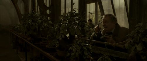 EdP-Potterish10004.jpg