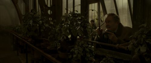 Click to view full size image
==============
EdP-Potterish10005.jpg EdP-Potterish10005.jpg