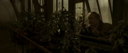 EdP-Potterish10006.jpg
