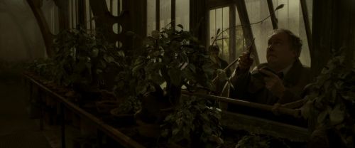 EdP-Potterish10009.jpg