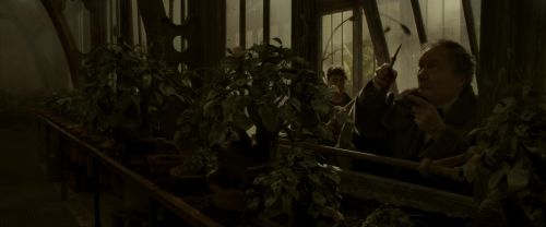 EdP-Potterish10010.jpg