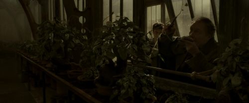 EdP-Potterish10011.jpg
