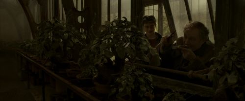 EdP-Potterish10012.jpg