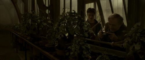 EdP-Potterish10013.jpg