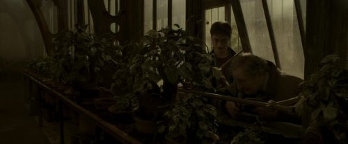 Click to view full size image
==============
EdP-Potterish10016.jpg EdP-Potterish10016.jpg