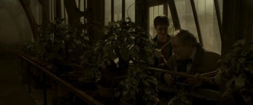 EdP-Potterish10017.jpg