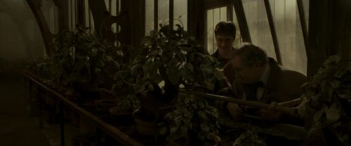 EdP-Potterish10018.jpg