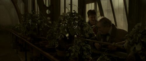 EdP-Potterish10019.jpg