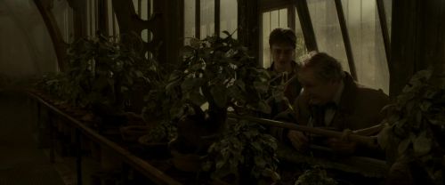 Click to view full size image
==============
EdP-Potterish10020.jpg EdP-Potterish10020.jpg