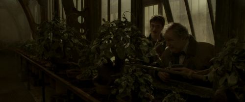 Click to view full size image
==============
EdP-Potterish10022.jpg EdP-Potterish10022.jpg