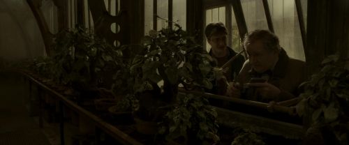 EdP-Potterish10024.jpg