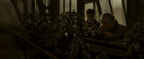 EdP-Potterish10025.jpg
