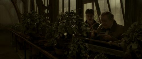 EdP-Potterish10026.jpg