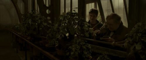 Click to view full size image
==============
EdP-Potterish10027.jpg EdP-Potterish10027.jpg