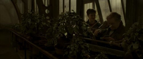 EdP-Potterish10028.jpg