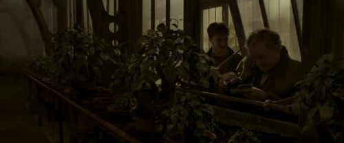 Click to view full size image
==============
EdP-Potterish10031.jpg EdP-Potterish10031.jpg