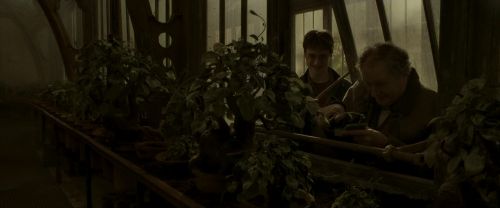 EdP-Potterish10032.jpg