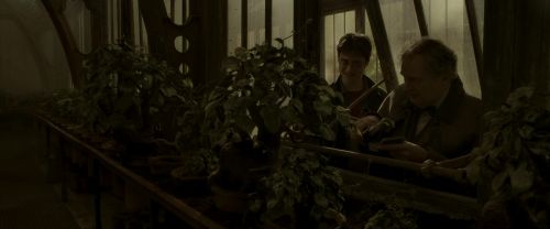 EdP-Potterish10033.jpg
