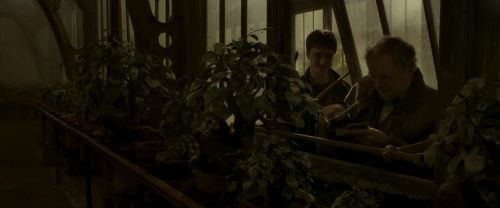 Click to view full size image
==============
EdP-Potterish10034.jpg EdP-Potterish10034.jpg