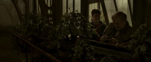 Click to view full size image
==============
EdP-Potterish10035.jpg EdP-Potterish10035.jpg
