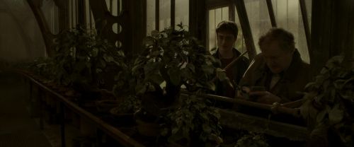 EdP-Potterish10036.jpg
