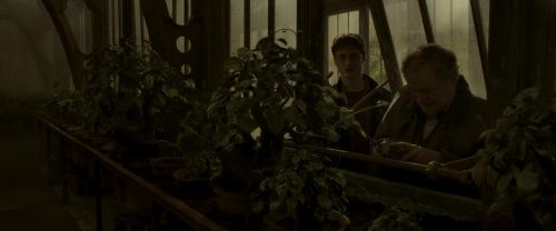 EdP-Potterish10037.jpg