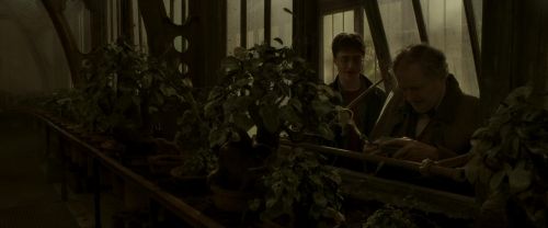 Click to view full size image
==============
EdP-Potterish10038.jpg EdP-Potterish10038.jpg