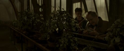 Click to view full size image
==============
EdP-Potterish10041.jpg EdP-Potterish10041.jpg