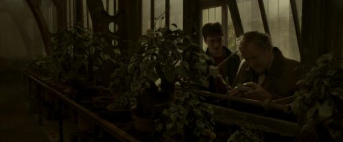 EdP-Potterish10044.jpg