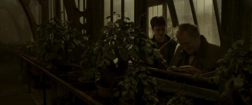 EdP-Potterish10048.jpg