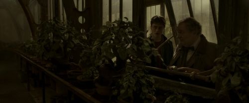 Click to view full size image
==============
EdP-Potterish10060.jpg EdP-Potterish10060.jpg