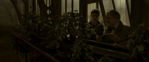 EdP-Potterish10061.jpg