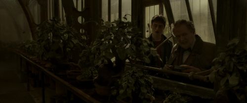 EdP-Potterish10062.jpg