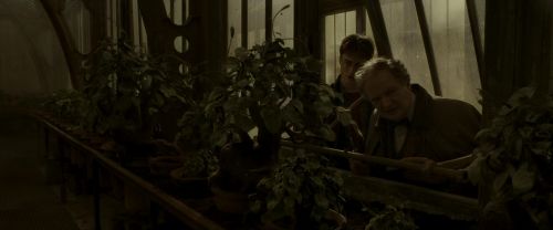 EdP-Potterish10064.jpg