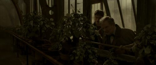 Click to view full size image
==============
EdP-Potterish10065.jpg EdP-Potterish10065.jpg