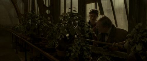 Click to view full size image
==============
EdP-Potterish10066.jpg EdP-Potterish10066.jpg