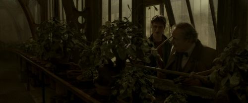 Click to view full size image
==============
EdP-Potterish10067.jpg EdP-Potterish10067.jpg