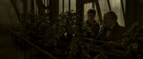 Click to view full size image
==============
EdP-Potterish10068.jpg EdP-Potterish10068.jpg