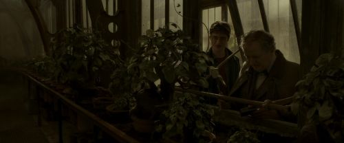 Click to view full size image
==============
EdP-Potterish10069.jpg EdP-Potterish10069.jpg