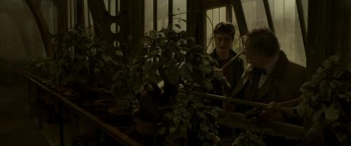 EdP-Potterish10070.jpg