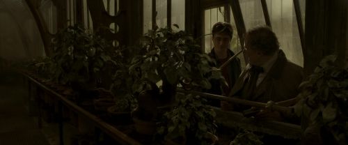 EdP-Potterish10072.jpg