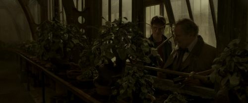 EdP-Potterish10073.jpg
